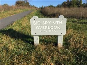 How to Spy Iphone Activity